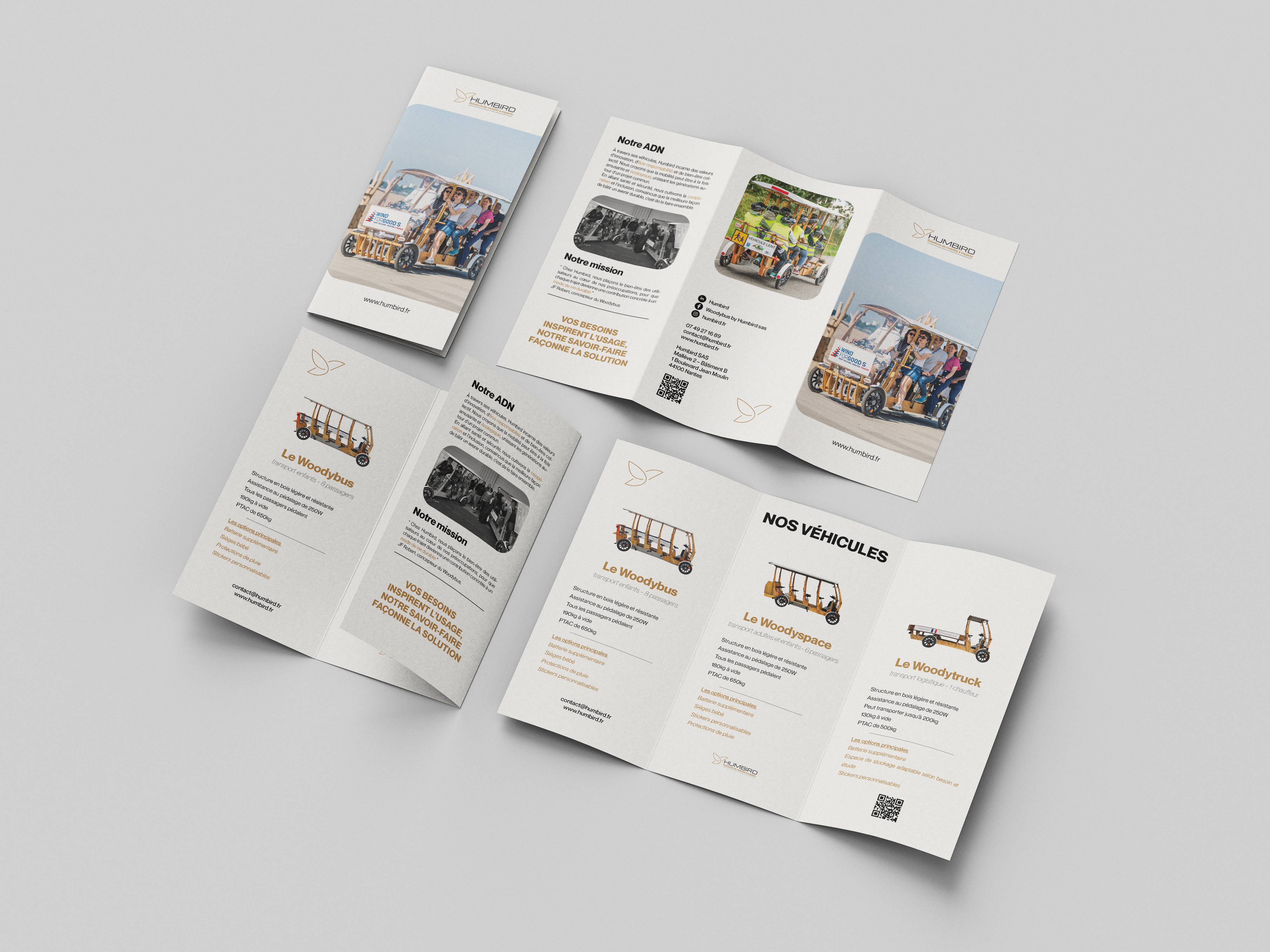 Projet Humbird — visuel 2