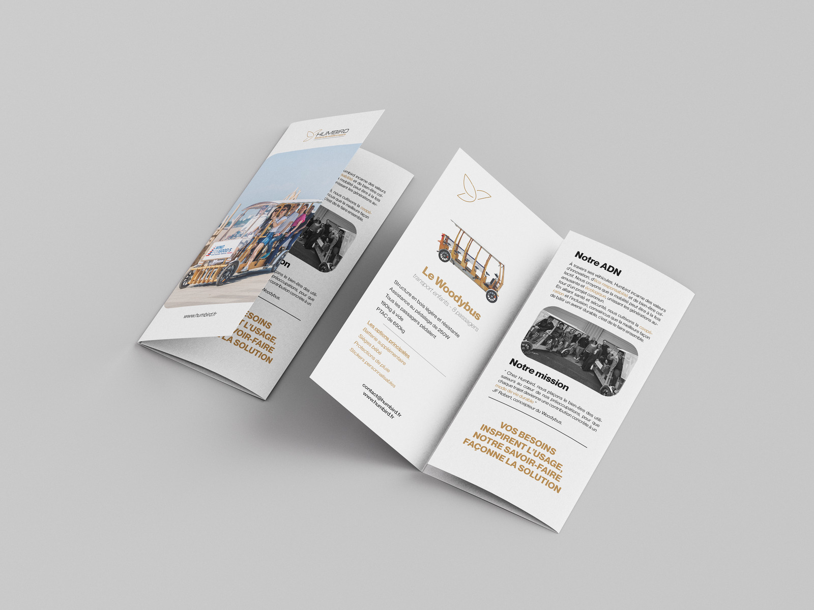 Projet Dépliant — visuel 2